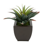 Faux Star Succulent in matte brown Tapered Zinc Pot