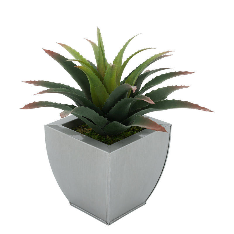 Faux Star Succulent in silver Tapered Zinc Pot