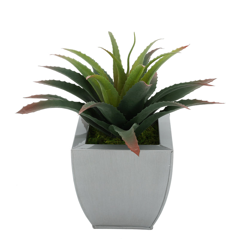 Faux Star Succulent in silver Tapered Zinc Pot