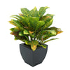 Faux Croton Houseplant in Black Tapered Zinc Pot
