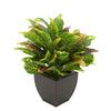 Faux Croton Houseplant in Matte Brown Tapered Zinc Pot