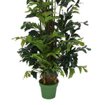 Faux 7ft Fishtail Palm Tree in Round Water Hyacinth Basket