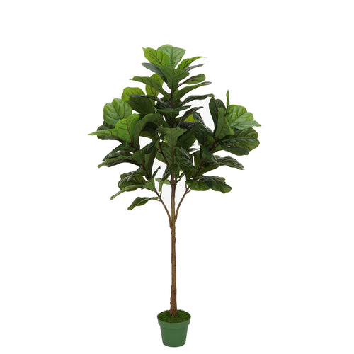Faux 6ft Fiddle-Leaf Fig Tree