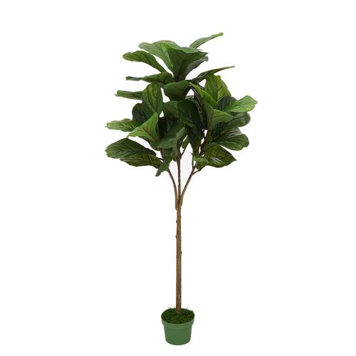Faux 4ft Fiddle-Leaf Fig Tree