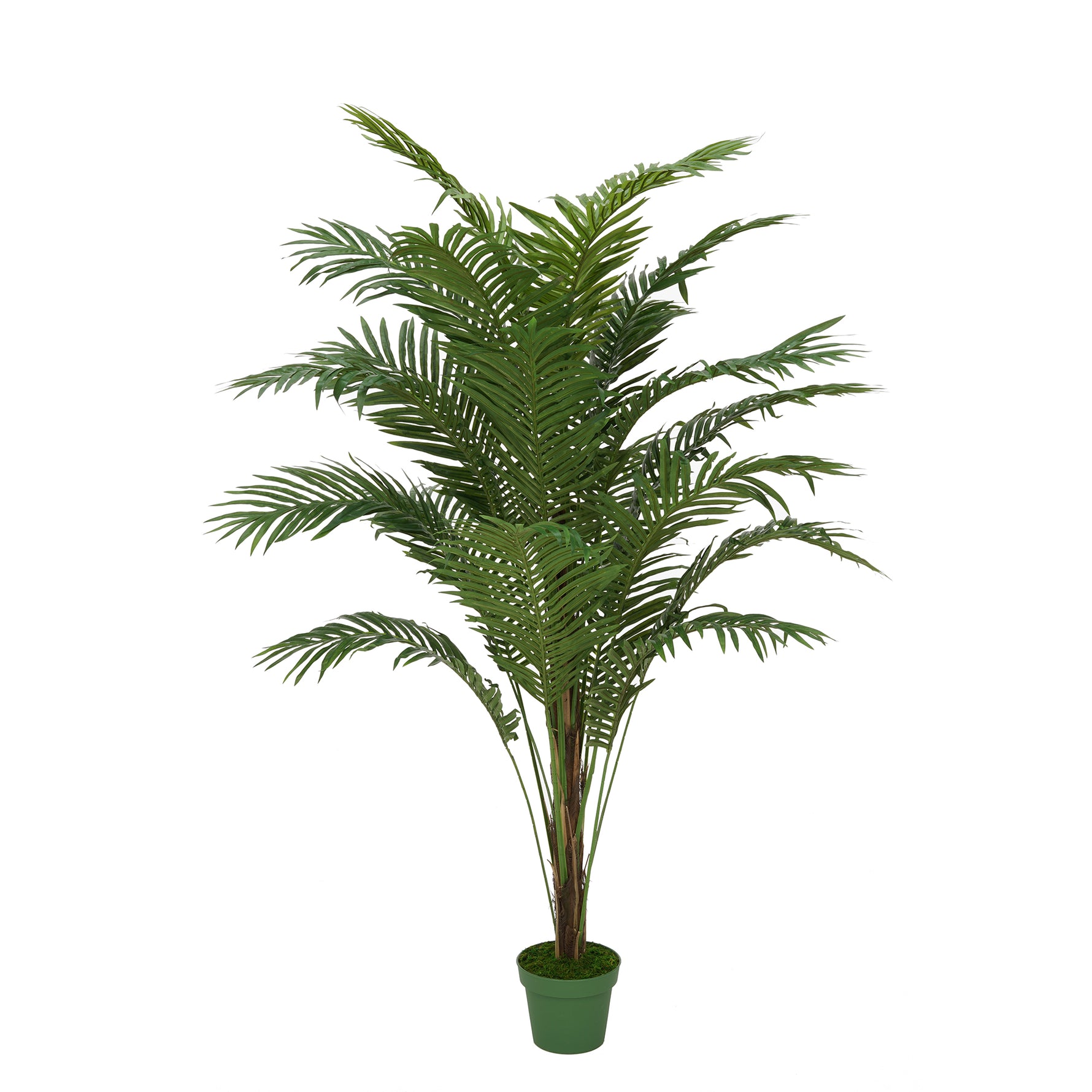 Faux 6ft Paradise Palm Tree