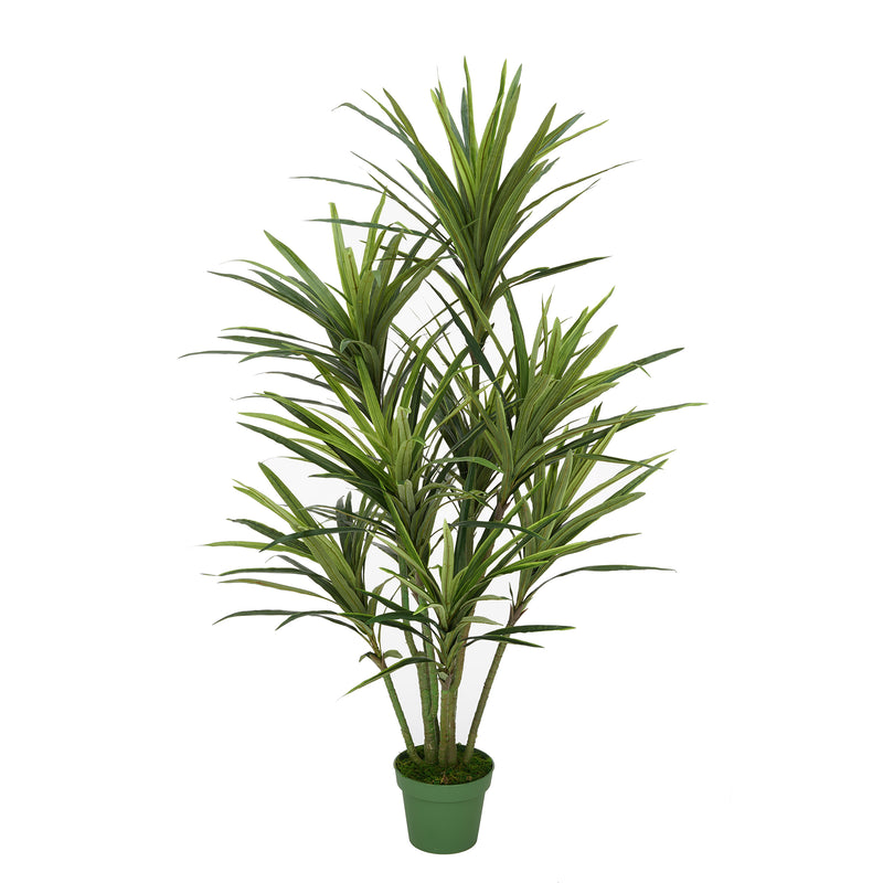 Faux 5ft Dracaena Tree with 9 Heads