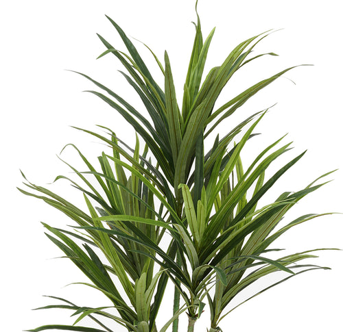 Faux 4ft Dracaena Tree with 5 Heads