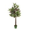 Faux 5ft Double Pink Edge Variegated Rubber Tree