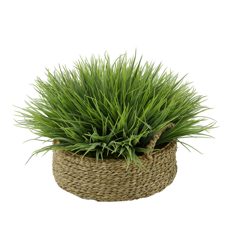 Frosted Farm Grass in Seagrass Tray Basket