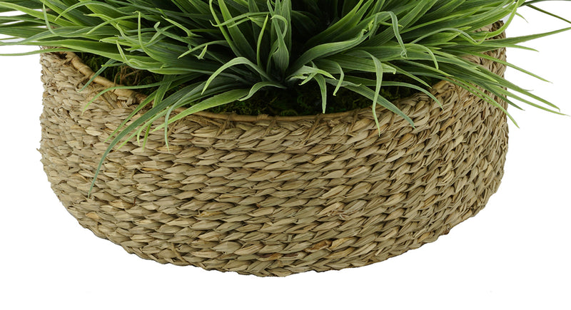 Natural Seagrass Tray Basket