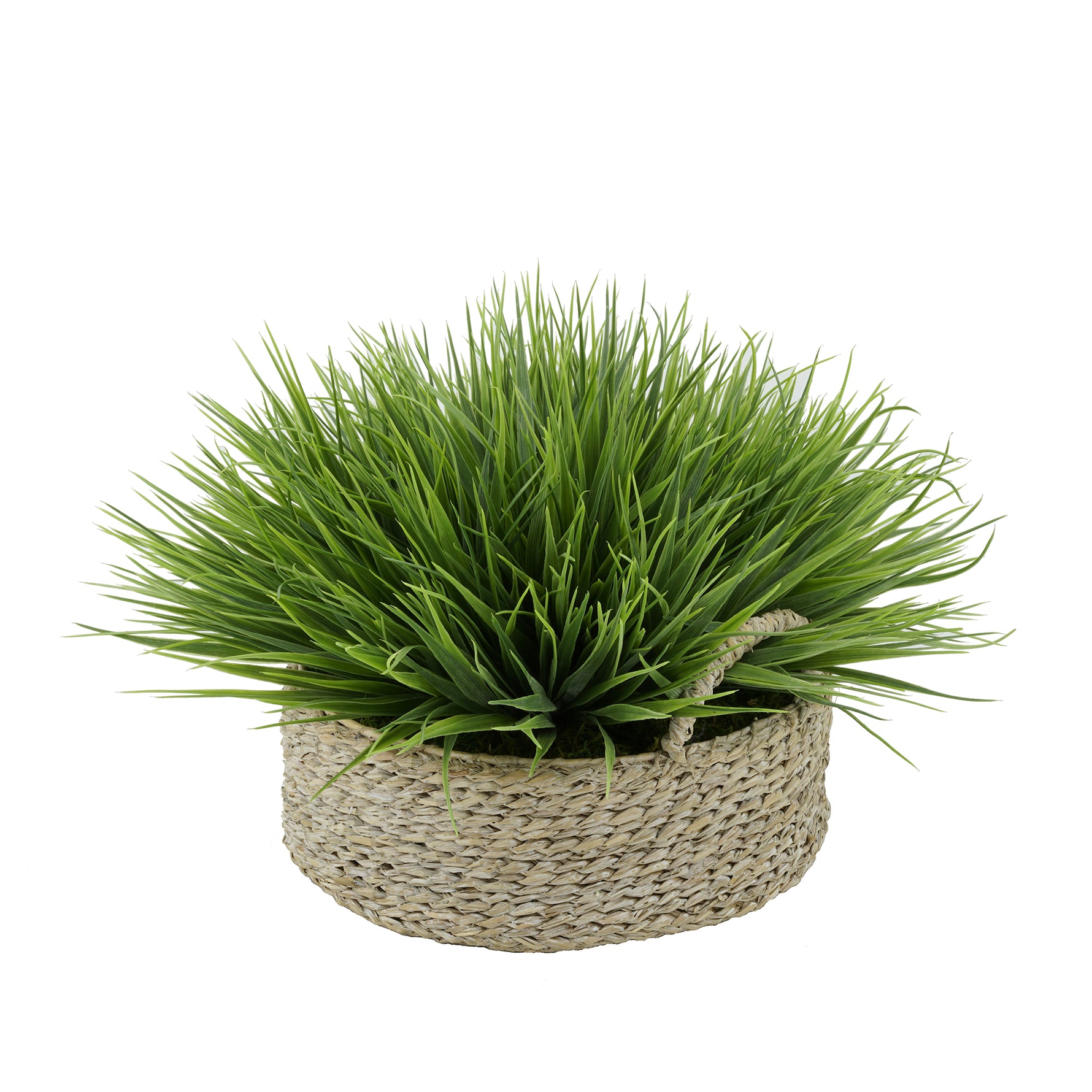 Frosted Farm Grass in Seagrass Tray Basket