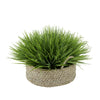 Frosted Farm Grass in Seagrass Tray Basket