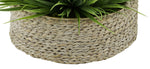 White-Wash Seagrass Tray Basket