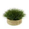 Green Farm Grass in Seagrass Tray Basket