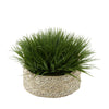 Green Farm Grass in Seagrass Tray Basket