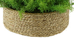 Faux Rosemary Grass in Large Seagrass Tray Basket