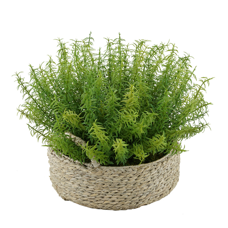 Faux Rosemary Grass in Small Seagrass Tray Basket