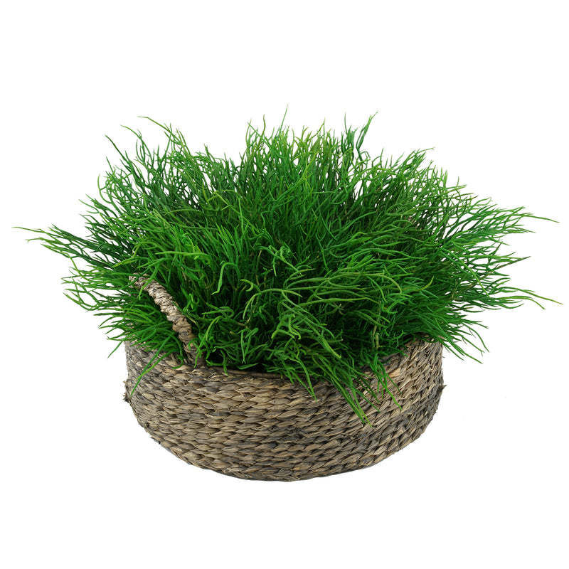 Faux Saltwort in Small Seagrass Tray Basket