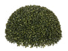 Artificial Boxwood Half Ball - House of Silk Flowers®
 - 4