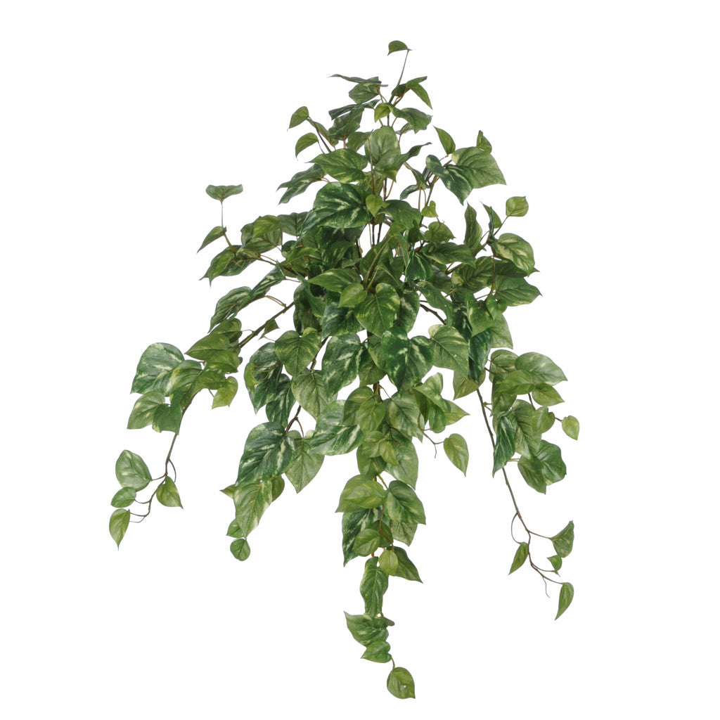 Artificial 27" Pothos Bush - House of Silk Flowers®
